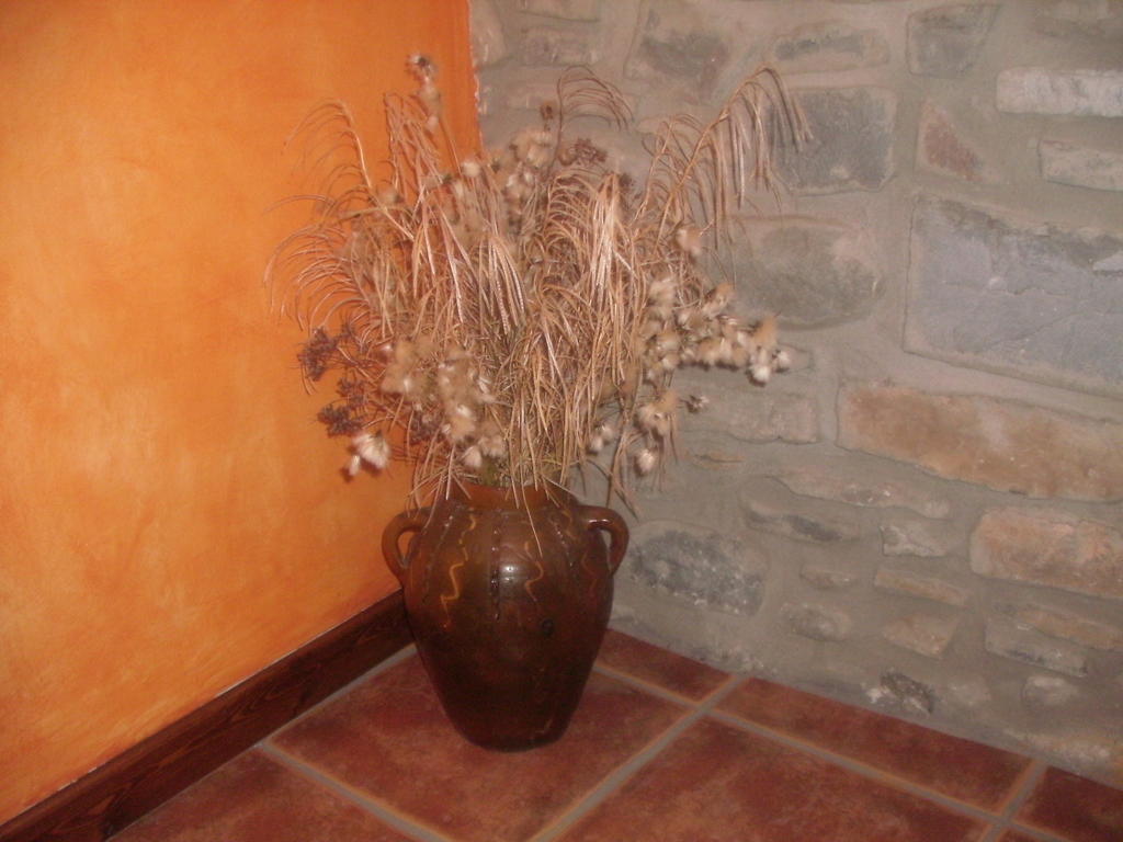 La Corralata Apartment Biescas  Phòng bức ảnh